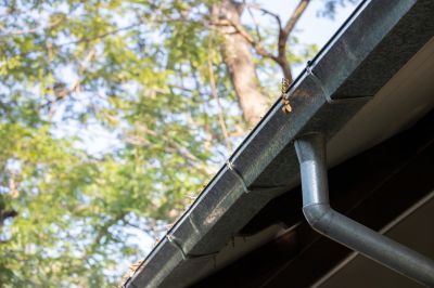 Clear Gutter System