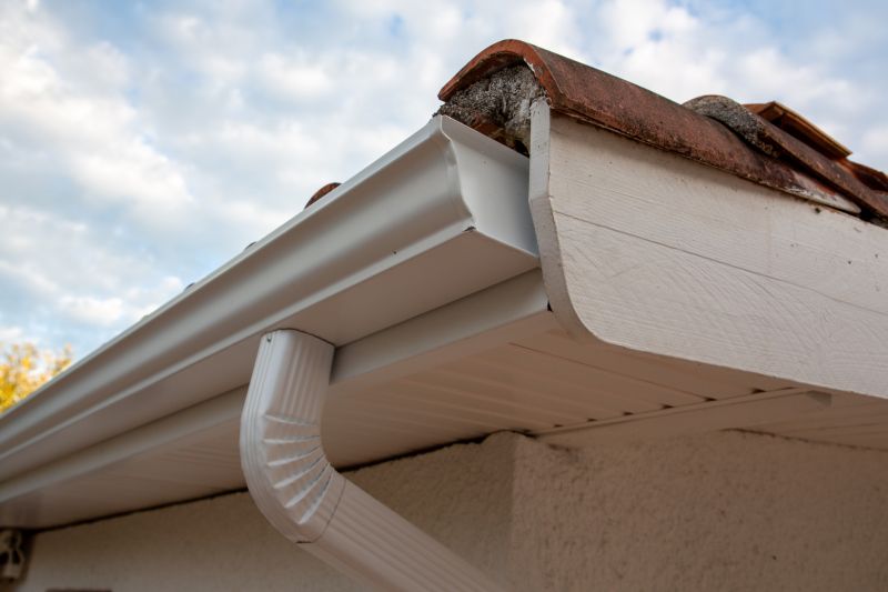 New Gutter System with Downspouts